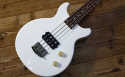【クリア＆パワフル】Rabbit is USA-B WHT #17017 【ショートスケールベース】