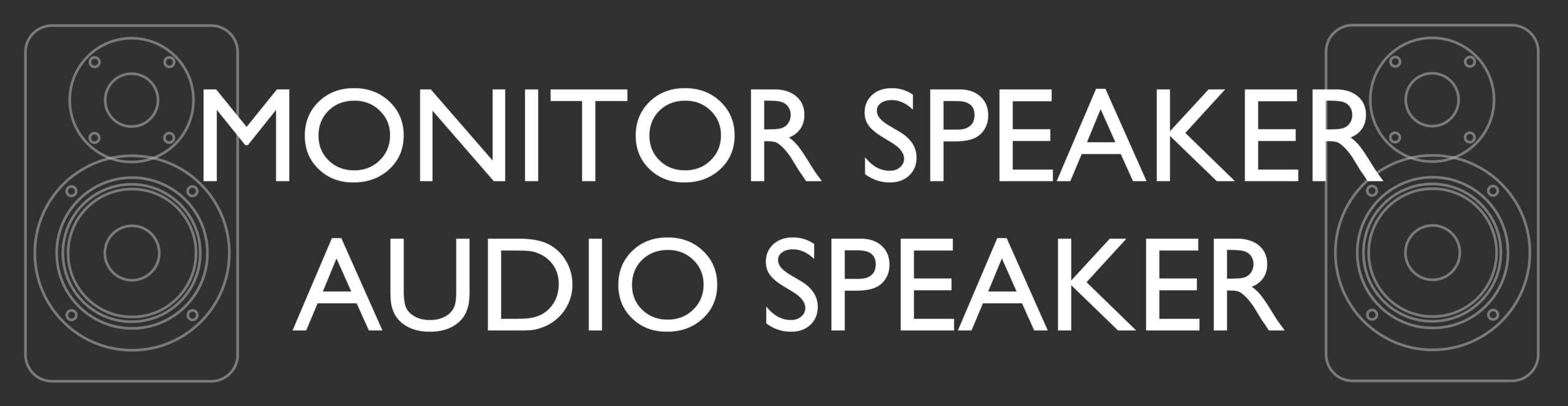 MONITOR SPEAKER/AUDIO SPEAKER