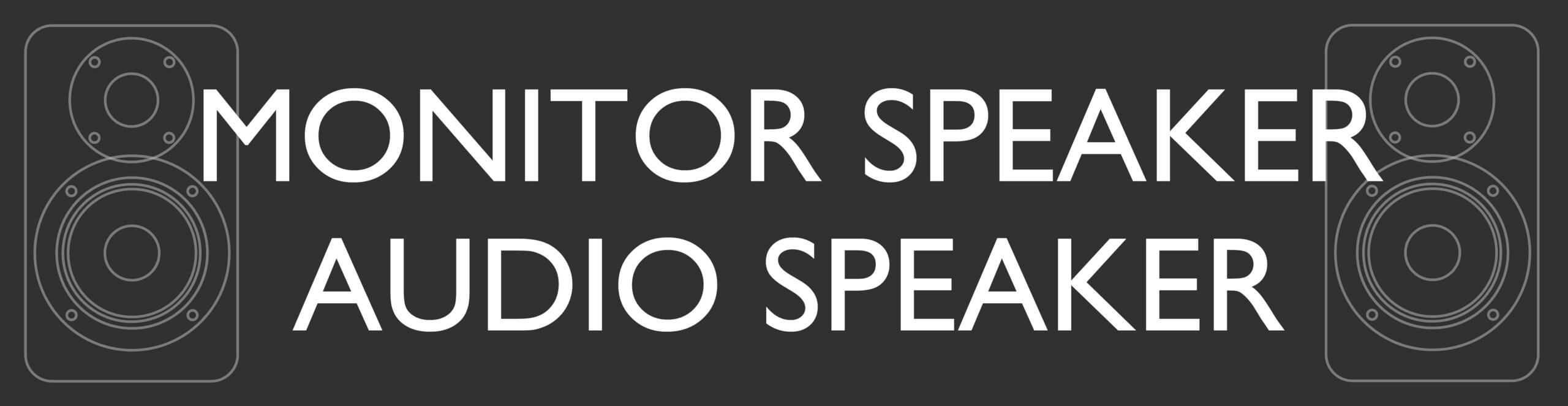 MONITOR SPEAKER/AUDIO SPEAKER