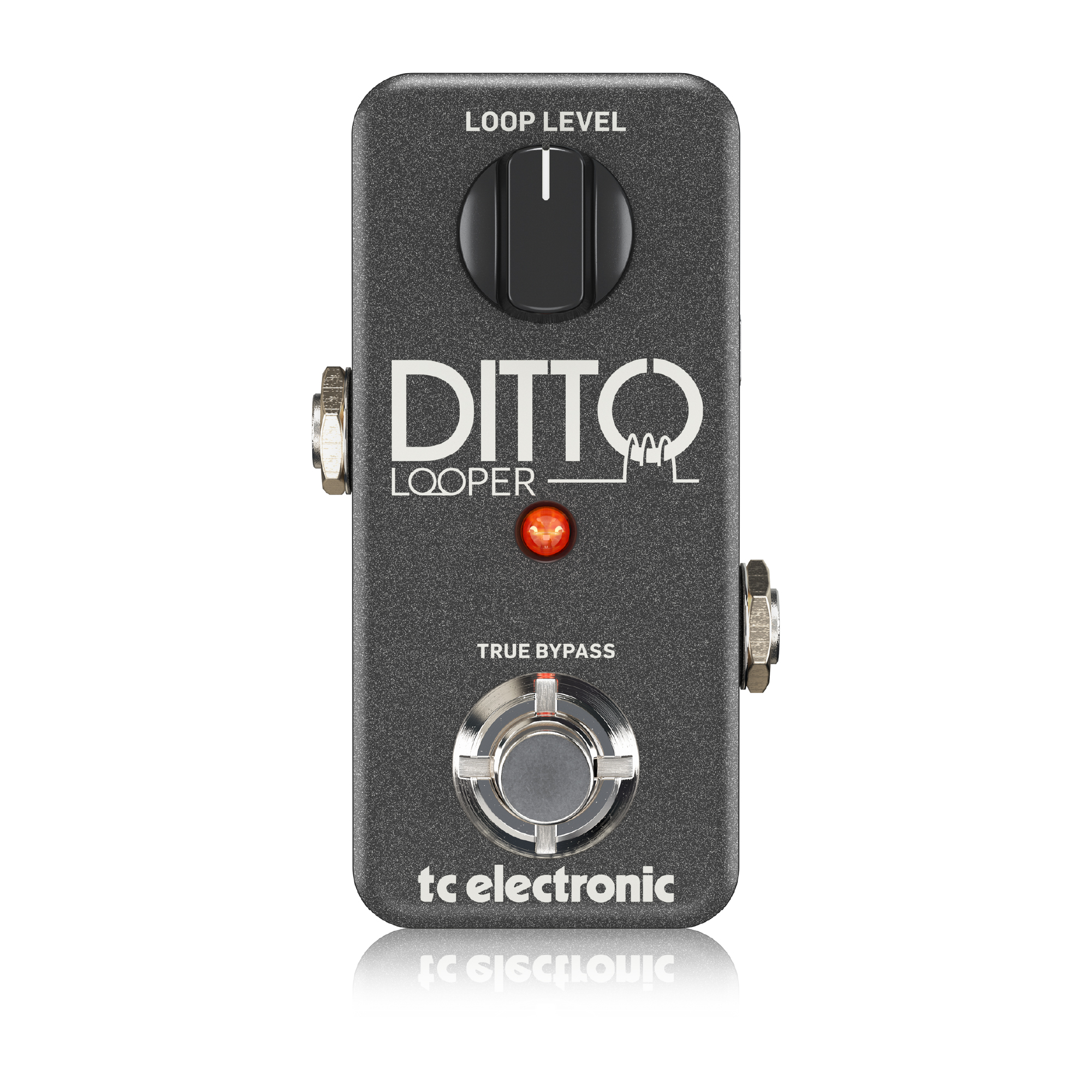 tc electronic Ditto Looper