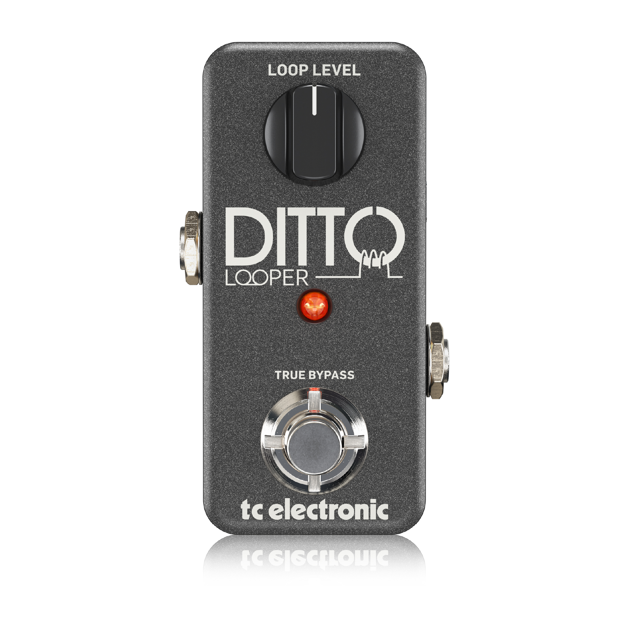 【入荷待ち】tc electronic Ditto Looper